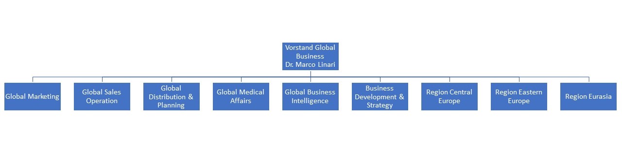 Organisationsstruktur Vorstand Global Marketing