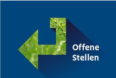 Offene Stellen